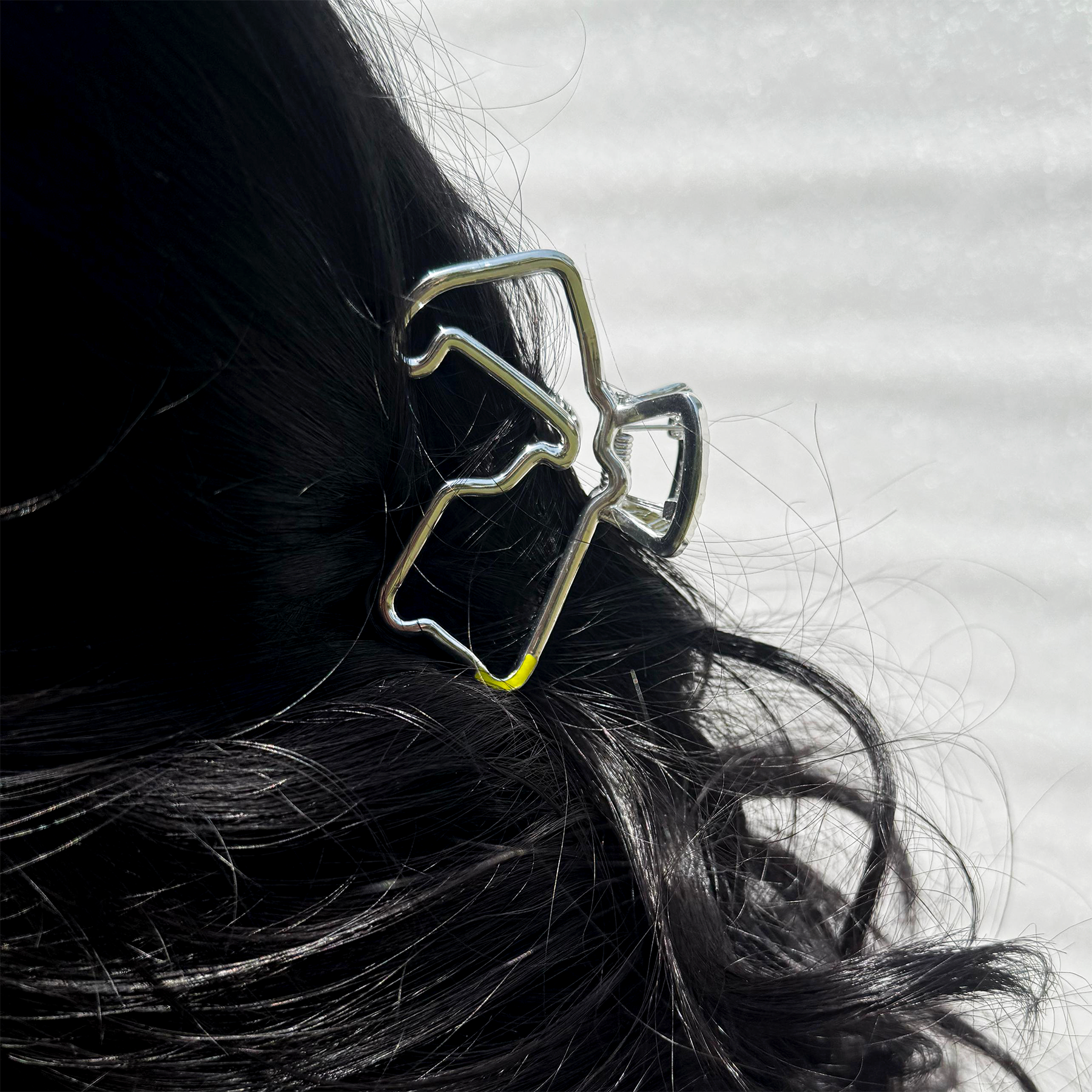 LANDOSTAND HAIR CLAW