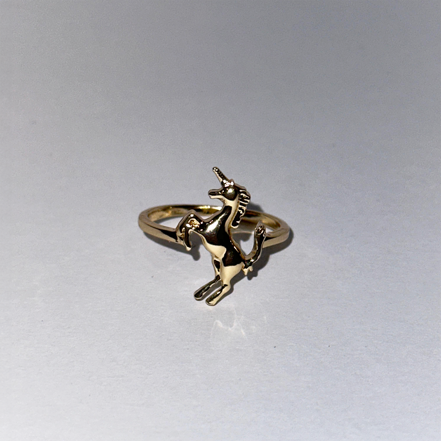 CAVALLINO RING