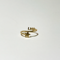 LN1 RING
