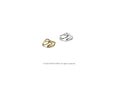 AUSTRIA RING